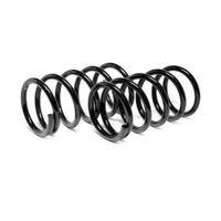 Пружина задней подвески Черри 